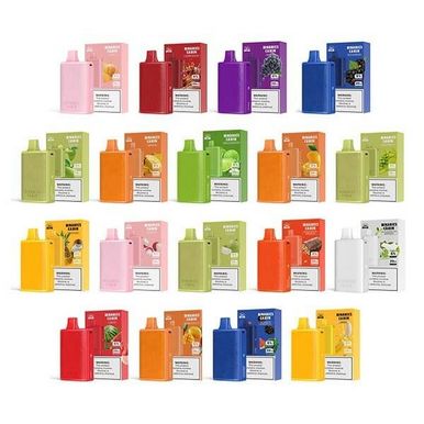 HorizonTech Binaries Cabin 10000 Puffs Disposable Vape 50mg 20mL thumbnail